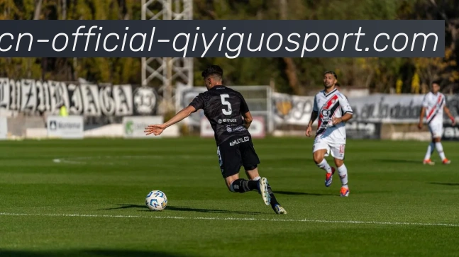 奇异果体育平台生态图